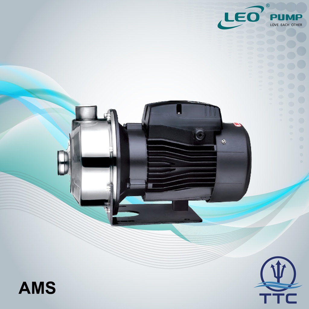 Stainless Steel Centrifugal Pump: Model AMSm-70/0.55 x 0.55kW/0.75HP x 1 Phase x Clean Water